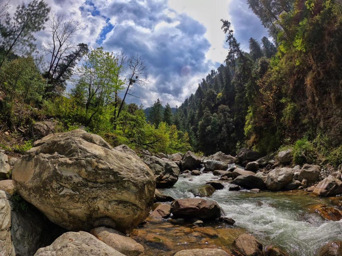 Tirthan Anglers' Retreat Banjār Kültér fotó